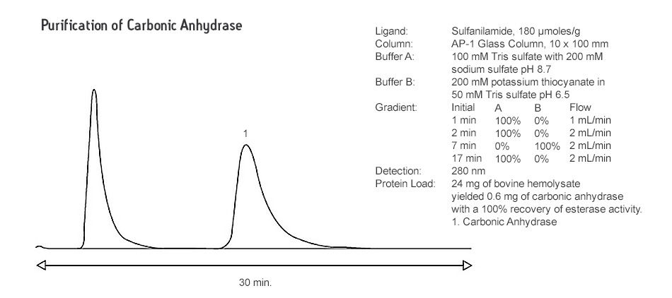 Affinity Epoxy-Activated Columns