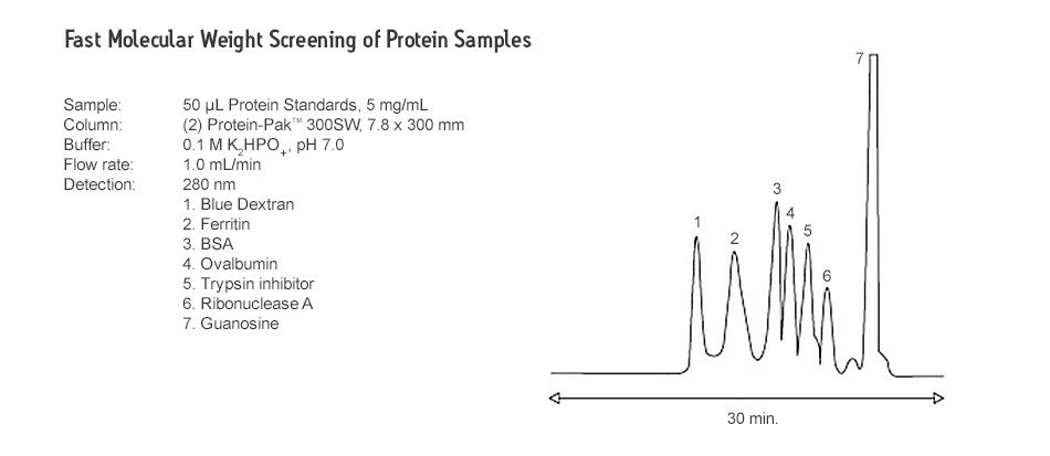 Size-Exclusion Columns