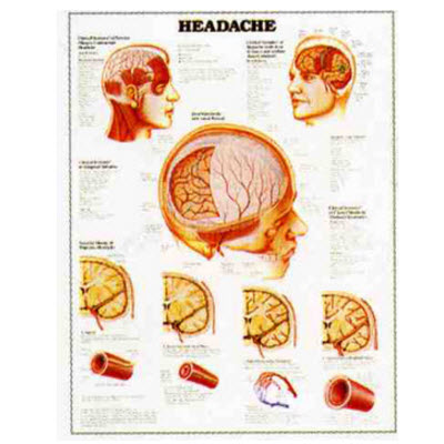 2016-7-28 9-54-47.jpg