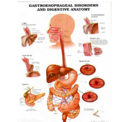 2016-7-28 9-55-44.jpg