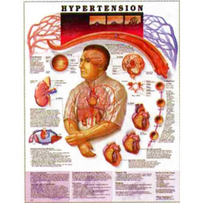 2016-7-28 9-58-17.jpg