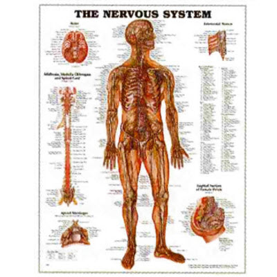 2016-7-28 10-11-57.jpg