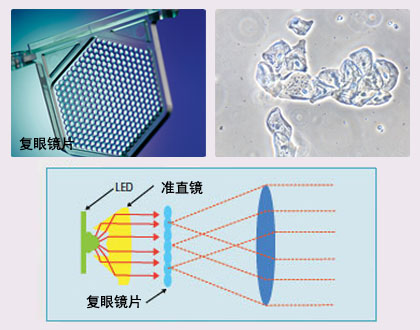 TS100 LED环保照明.jpg